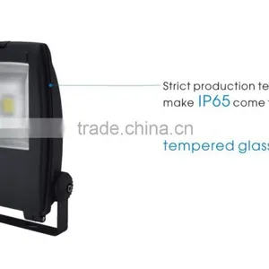 New Design IP65 Meanwell Driver Bridgelux LED Flood Light COB Outdoor 30W 50W LED Flood Light thumbnail-4