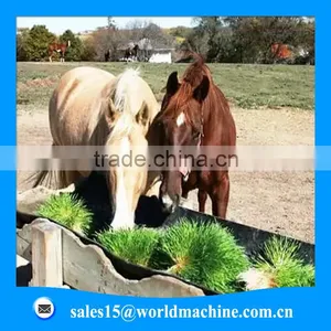 Rabbit Fodder Making Machine for Sale/hydroponic Fodder System/hydroponics Fodder Hydroponic Culturing Barley Breeding Machine thumbnail-2