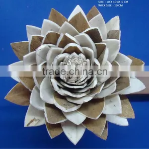Sola Flower thumbnail-4