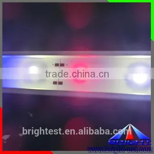 Smd 5050 ShenZhen Supplier Dual White ( Pure White + Warm White )LED Strip Light Waterproof IP68 DC12V Flexible Light thumbnail-2
