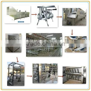 Long Time Working Chicken Blanch Machine for Chicken Slaughter Factory Use thumbnail-1
