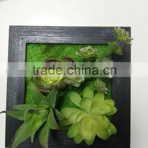 HOT Virbrat Natural Touch Plant Gift Succulent Frame Succulent Plants for Wholesale thumbnail-2