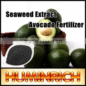 Huminrich Shenyang Soluble Agriculture Seaweed Extract Promote Avocado Growth Fertilizer thumbnail-2