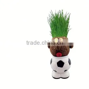 Interior Decoration Metal Plant Pots Plants for Terracotta Flower thumbnail-2