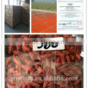 Low Pesticide Goji Berry 380grains/50g thumbnail-3