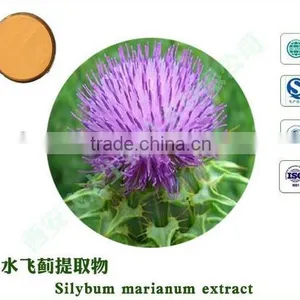 Water Soluble Organic 30%-98% Silymarin thumbnail-5