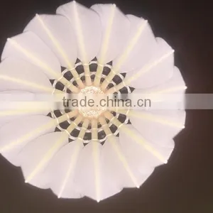 Professional OEM China Manufacturer Goose Feather Shuttlecock Quality to Eg1130 Badminton Shuttlecock thumbnail-5