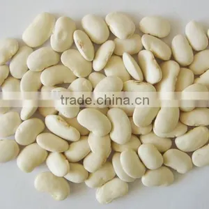 Kidney Bean Extract 1% Phaseolin by HPLC thumbnail-2