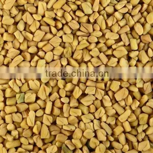 Fennugreek Seeds thumbnail-1