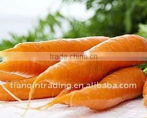 2011 Fresh Carrot thumbnail-1