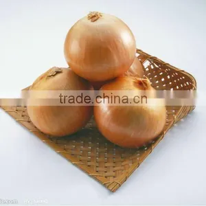 Fresh Yellow Onion(in Low Price) thumbnail-1