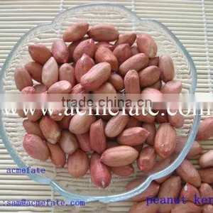 Chinese Long Type Peanut Kernels thumbnail-4
