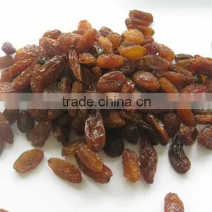Top Quality Raisin(sun Dried) From Xinjiang thumbnail-5