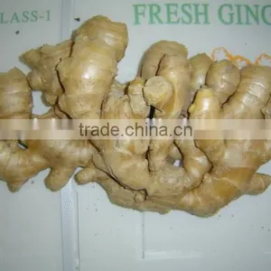 Fresh Air Dried Ginger thumbnail-3