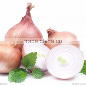 FX-128-3A High Efficiency Hot Sale Onion Peeling Peeler Machine thumbnail-6