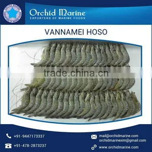 IFS Certified Delicious Taste Frozen Vannamei Available With Advanced Frozen Technique thumbnail-3
