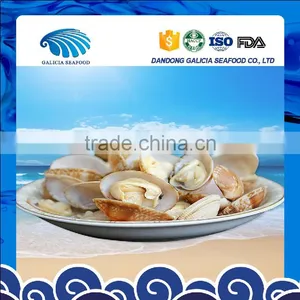Clam Variety Frozen Half-shell Short Necked Clam thumbnail-1