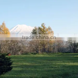 Ski Resort , Land for Sale , Condominiums , Hotels , Land for Invest thumbnail-2