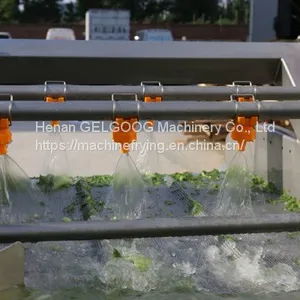 Automatic Stainless Steel Vegetable/Fruit Potato Bubble Washing Machine/Air Bubble Washing Machine Manufacture thumbnail-5