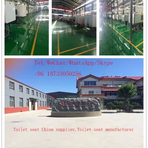 Hebei Shengfeng Sanitary Ware Co.,ltd company overview - view 1 thumbnail