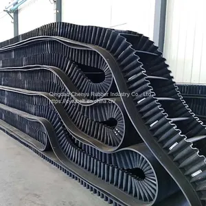 Sidewall Conveyor Belt thumbnail-4