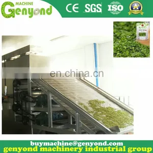 Contiunous Drying Mango Chips Processing Plant thumbnail-3