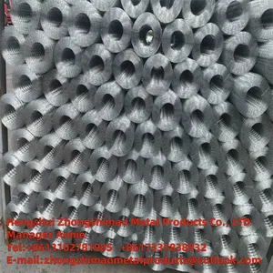 Welded Wire Mesh/galvanized Wire Mesh /wire Netting/weld Mesh Roll/ thumbnail-1