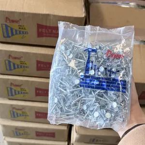 Hot-Dipped Galvanized Clout Head Nails for Construction 1kg/bag Custom Sizes thumbnail-1