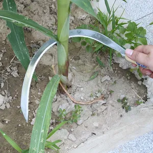 OEM Sickle Head Sickle Blade Sickle Agricultural Tool for Replacement Assembly and Farm Tool Wholesale Supply thumbnail-3