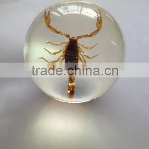 Hot Selling Rutilated Quartz Crystal Ball / Sphere With Real Flowers Embedded for Promotional Gift thumbnail-5
