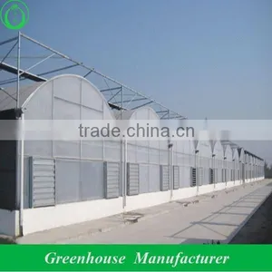8mm Galvanized Steel Polycarbonate Greenhouse thumbnail-1