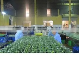 Minh Hien Company Limited company overview - view 3 thumbnail