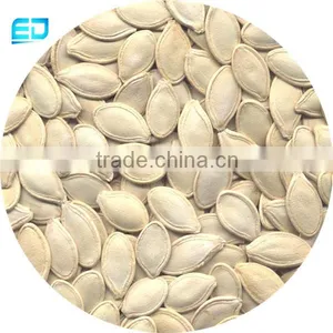 Watermelon Seeds Sale Shine Skin Pumpkin Seeds Wholesale thumbnail-2