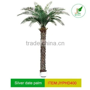 Artificial Silver Date Palm Tree thumbnail-1