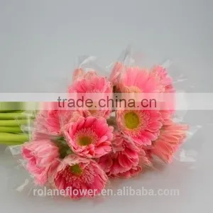 Kunming Flower Export Long Stem Glass Flowers Pvc Flower Stem With 70-80cm Long From Yunnan, China thumbnail-2