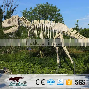 Dinosaur Exhibition Simulation Metal Dinosaur Skeleton thumbnail-1