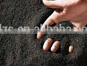 Oilseeds Rape thumbnail-2