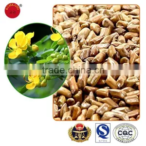 Semen Cassiae Tea/Pure Natural Semen Cassiae/semen Cassiae for Eye thumbnail-1