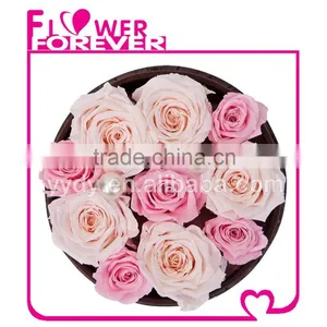 Top Selling Natural Preserved Roses thumbnail-1