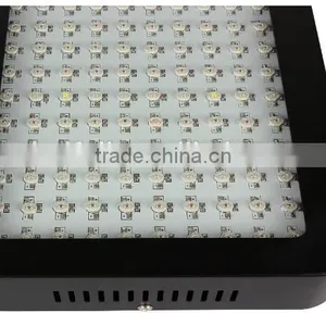 Ebay Hot Greenhouse 900W Led Grow Full Spectrum Light thumbnail-2