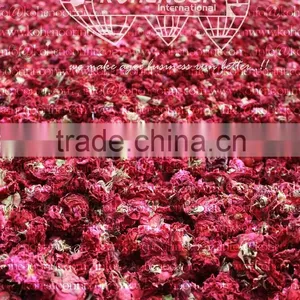 Dried Red Flower thumbnail-1