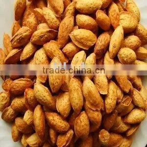 American Almond in Hull thumbnail-1
