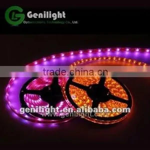 5050 Led Strip 10mm Rgb thumbnail-1