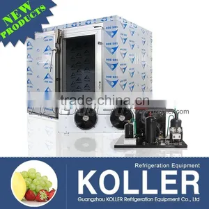New Design 12 Tons Cold Storage Room With Hinged Door for Fresh Fruit VCR40 thumbnail-1