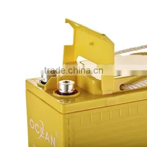 Competitive Price Best Quality Cheap Opzs Solar Battery thumbnail-4