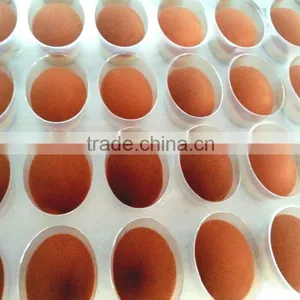 New Hotsell High Quality Oval Tooth Shaped Professional Makeup Brush 10 Pcs/set thumbnail-3