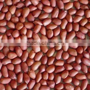 Best Price Bold Peanut Certified Supplier From India thumbnail-2