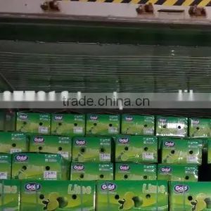 Product Quality of Hkvimex Viet Nam Lemon thumbnail-6