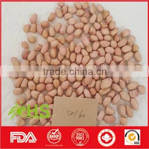Fresh and New Blanched Peanut Kernel thumbnail-3