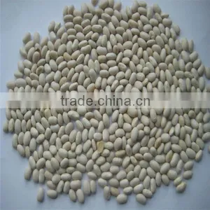 White Kidney Bean for Sale thumbnail-3